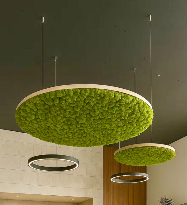 IMG_3901 Akustiline ripplagi samblaga